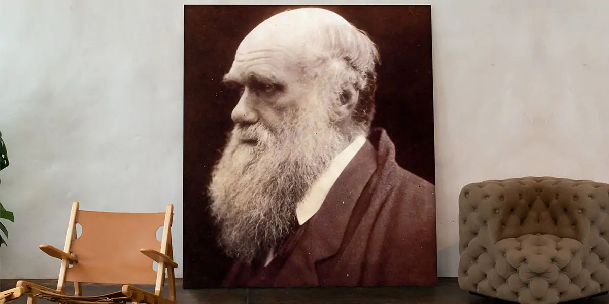 Charles Darwin, Origin of Species, Charles Darwin books, 