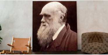Charles Darwin, Origin of Species, Charles Darwin books, 