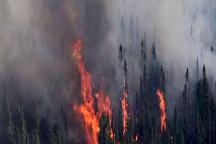 Fire breaks out near LoC, explosion continues in landmines near Indian Army posts