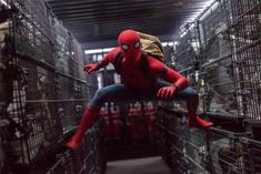 SpiderMan No Way Home trailer released