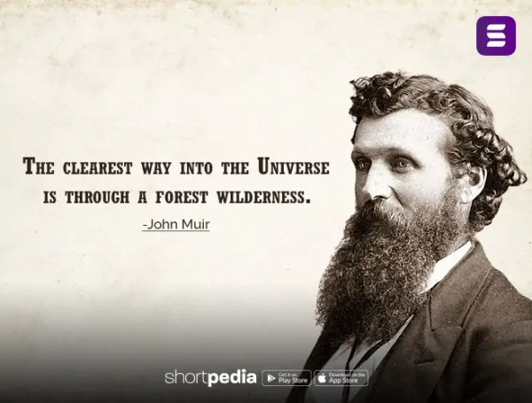 nature, nature quotes, love for nature quotes, nature quotes in english, nature quotes for instagram