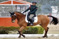 ITPF bans four Indian horsemen for two years for playing with fake team