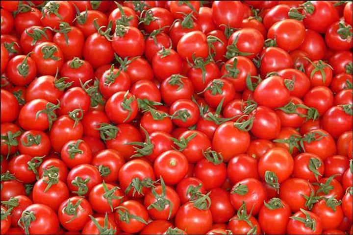 tomato hit by inflation price reached rs 160 per kg tomato hit by inflation price reached rs 160 per kg