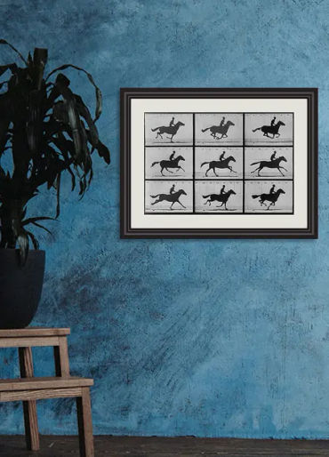 motion films, movie history, history of movies, movie facts 