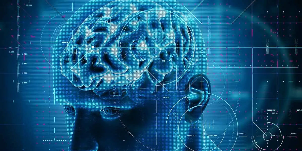 facts, human brain, movies, motions