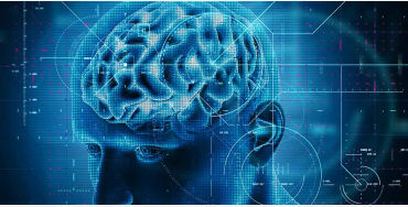 facts, human brain, movies, motions