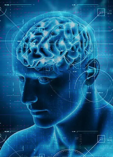 facts, human brain, movies, motions