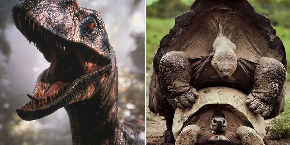 Jurassic Park, Jurassic Park facts, Jurassic Park sounds, Jurassic Park Raptors