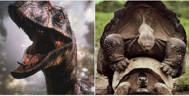 Jurassic Park, Jurassic Park facts, Jurassic Park sounds, Jurassic Park Raptors