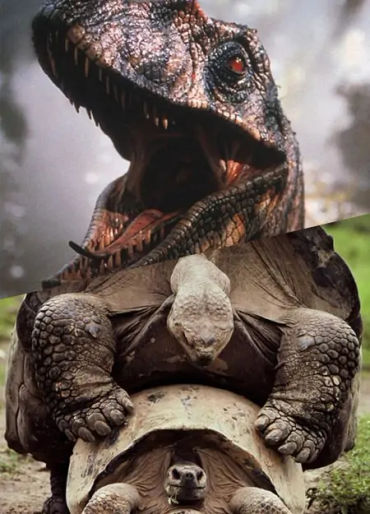 Jurassic Park, Jurassic Park facts, Jurassic Park sounds, Jurassic Park Raptors