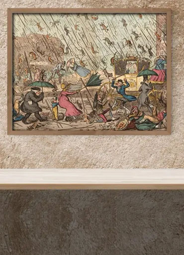 cats and dogs, language facts 