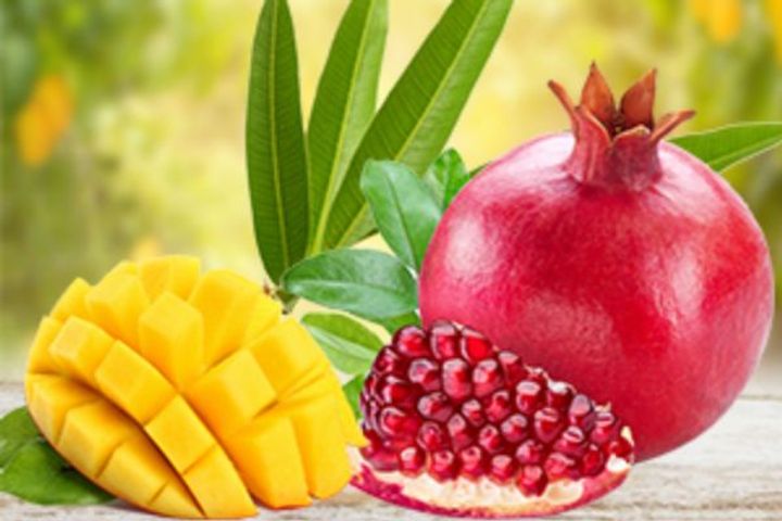 india america to work on measures for export of mango pomegranate