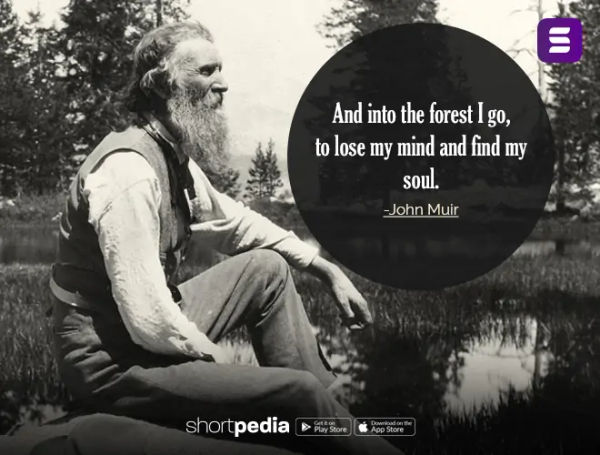 nature, nature quotes, love for nature quotes, nature quotes in english, nature quotes for instagram