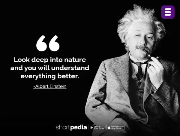 nature, nature quotes, love for nature quotes, nature quotes in english, nature quotes for instagram