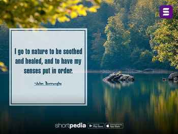 Nature Quotes : I to nature to be soothed and healed, and to have my senses put in order. | Shortpedia