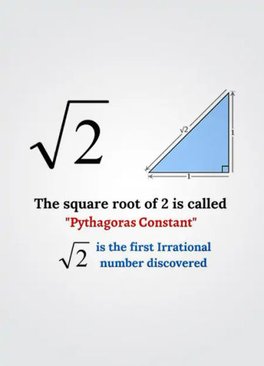Fun Facts Of MathsInteresting facts, Amazing facts, Did you know & Funny  facts | Shortpedia