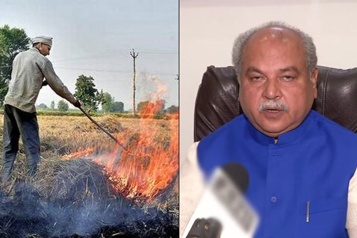 Centre decriminalises stubble burning by farmers, says Narendra Singh Tomar Centre decriminalises stubble burning by farmers, says Narendra Singh Tomar