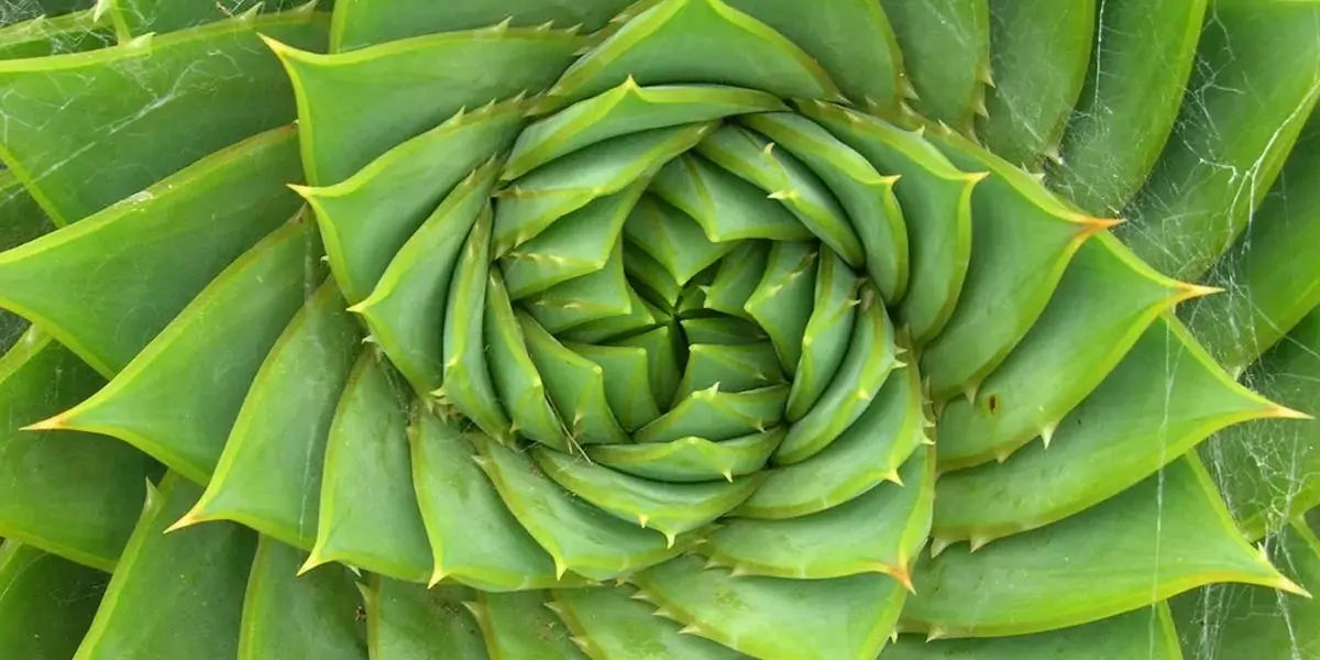 maths facts, fun maths, fun facts about math, weird fact about math 