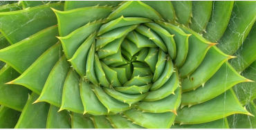 maths facts, fun maths, fun facts about math, weird fact about math 