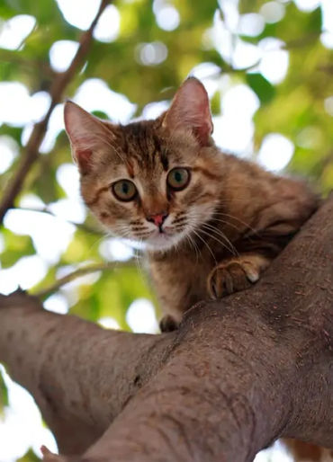 maths facts, fun maths, fun facts about math, weird fact about math 