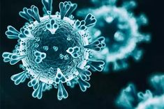 Coronavirus Pandemic