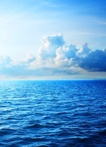 color facts, color, facts about mind, facts of color