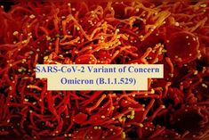 covid variant omicron 