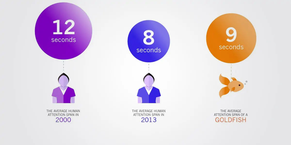 goldfish, humans, attention span, human facts