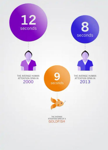 goldfish, humans, attention span, human facts