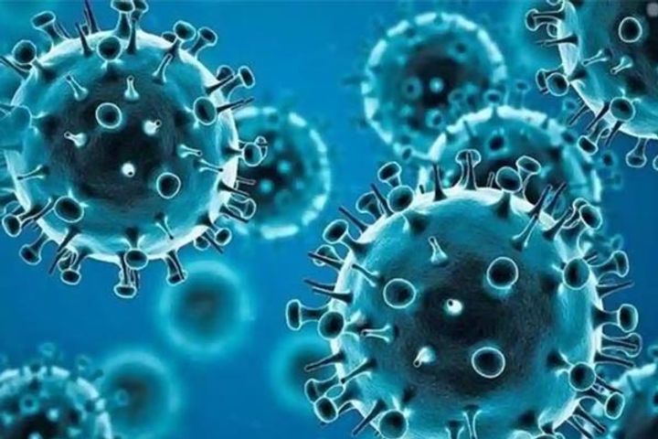 Sensation due to Omicron variant in Maharashtra 2 cases of Omicron reported in Bangalore Sensation due to Omicron variant in Maharashtra 2 cases of Omicron reported in Bangalore