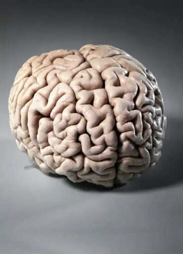 boys facts, facts about boys, facts about men, men facts, 