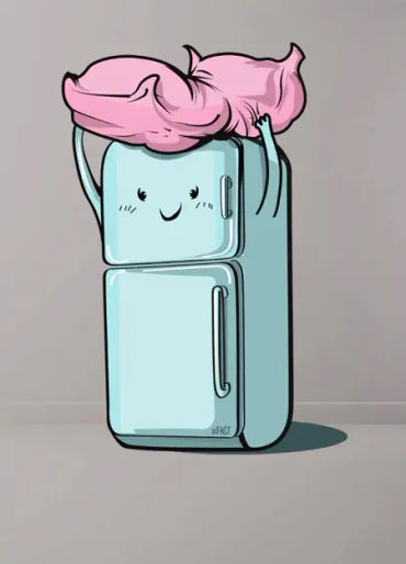 may 29, put pillow on fridge, pillow on fridge 