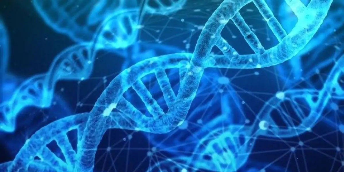 chromosomes, chromosomes facts, DNA, DNA facts, 