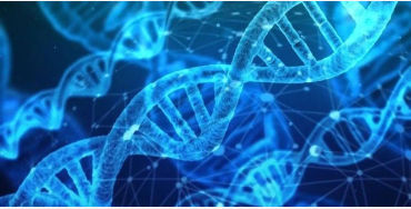 chromosomes, chromosomes facts, DNA, DNA facts, 