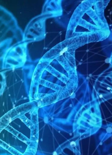 chromosomes, chromosomes facts, DNA, DNA facts, 