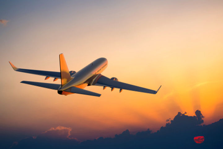 DGCA suspends international passenger flights till 31 January 2022 DGCA suspends international passenger flights till 31 January 2022