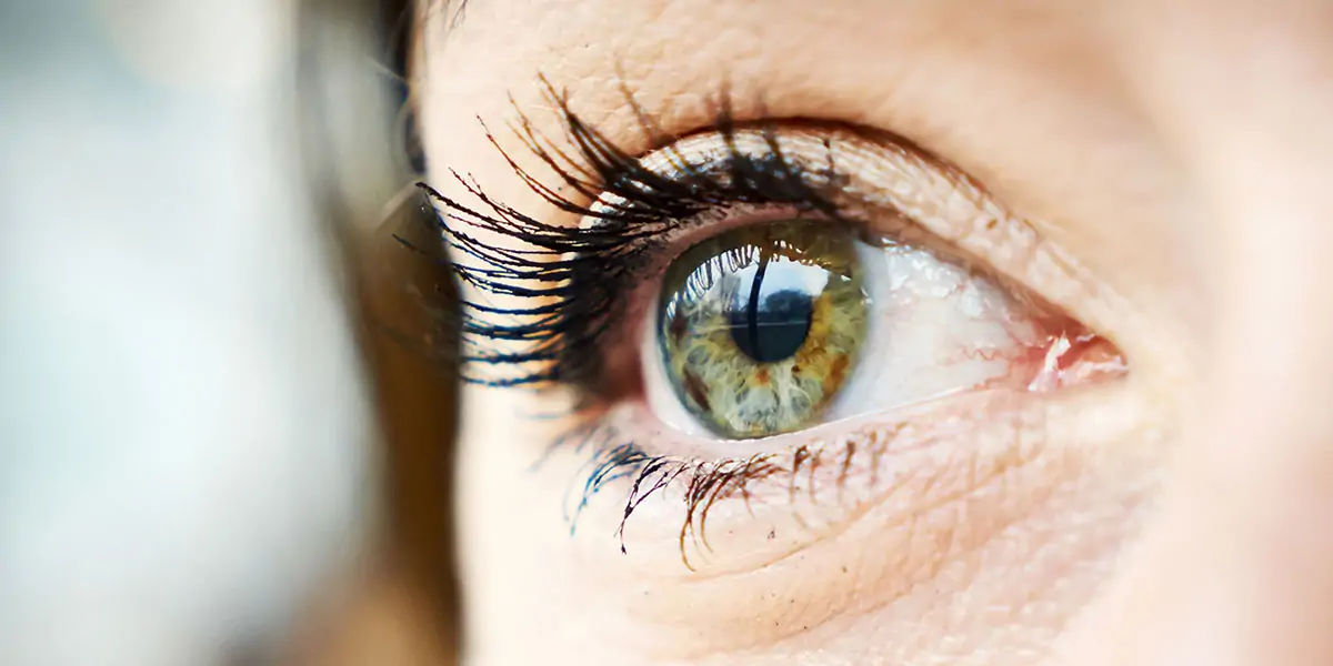 eyelash, eyelash facts, eyelash mites