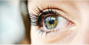 eyelash, eyelash facts, eyelash mites