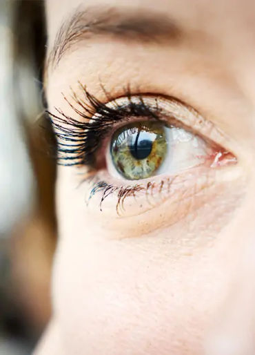 eyelash, eyelash facts, eyelash mites