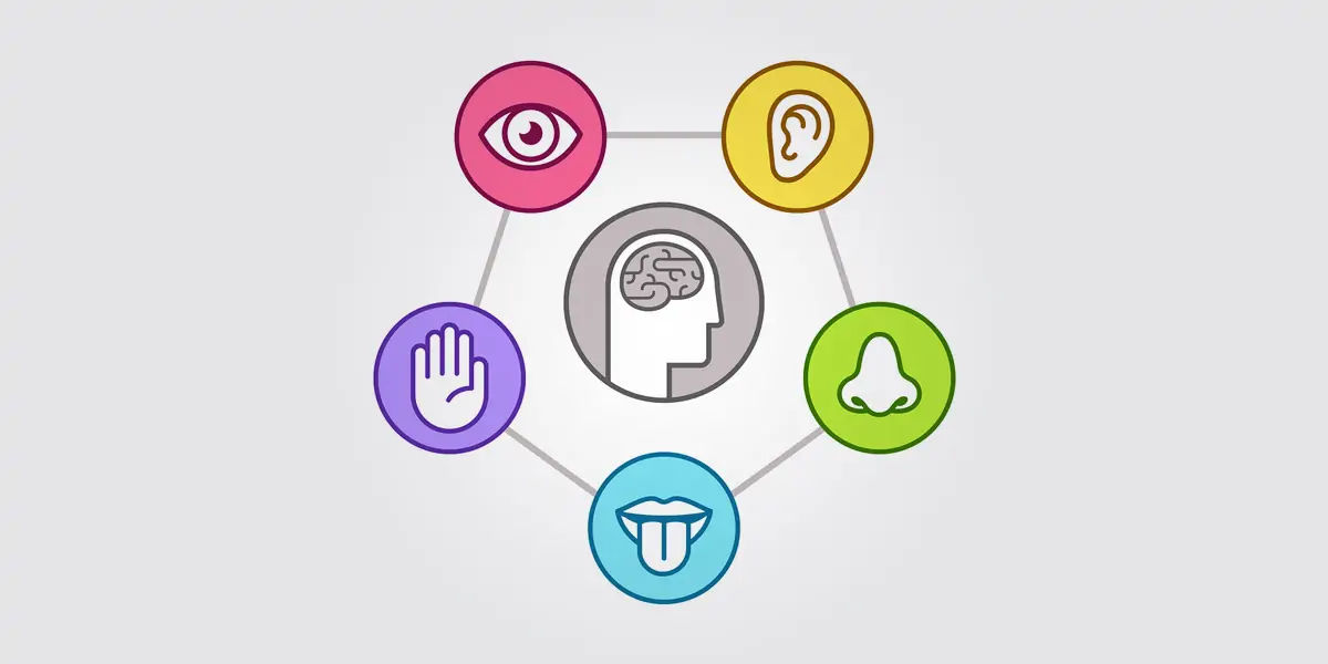 senses, human sense, 5 senses, five senses, sixth sense, 6 sense 