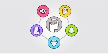 senses, human sense, 5 senses, five senses, sixth sense, 6 sense 