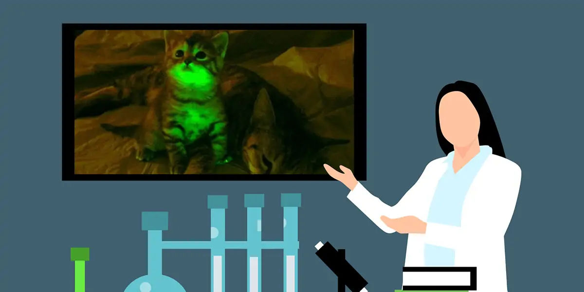 mayo clinic, glow in dark cats, aids medicine, aids cure 