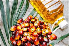 Government Cuts Import Duty On Refined Palm Oil 