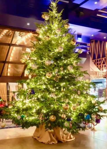 christmas facts, facts about christmas, christmas, fun facts about christmas, fun facts christmas, c