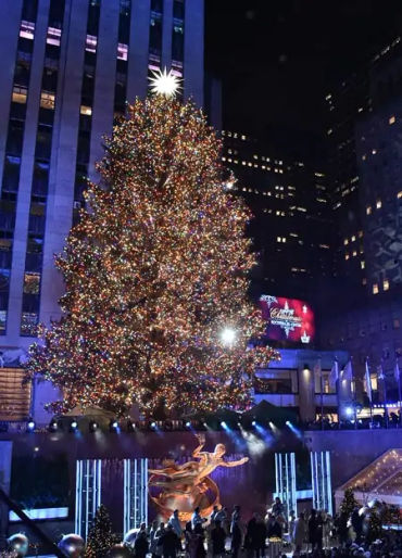 christmas facts, facts about christmas, christmas, fun facts about christmas, fun facts christmas, c