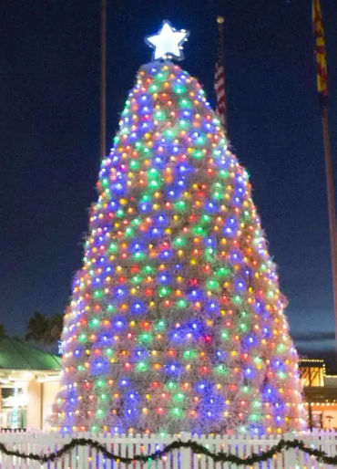 christmas facts, facts about christmas, christmas, fun facts about christmas, fun facts christmas, c