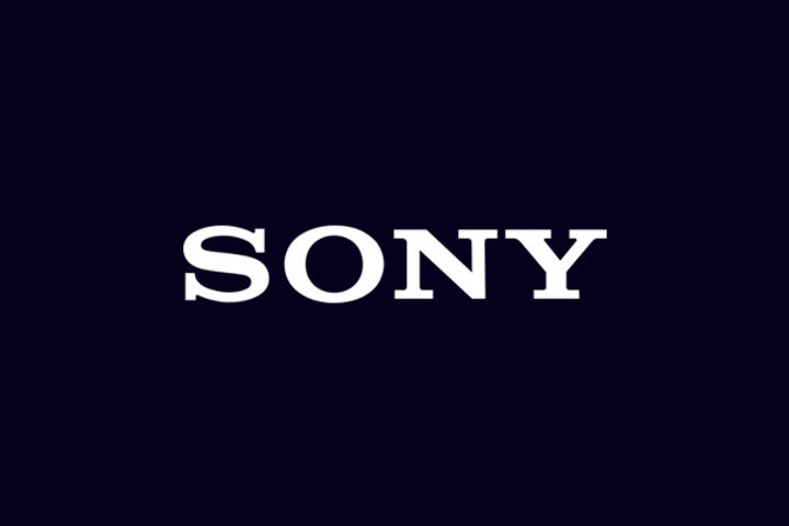sony will have 5086 stake in the new company punit goenka will be the md and ceo of the company