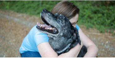 dogs, dogs facts, dogs age, fun facts about dogs, facts about dogs, dogs fun fact, fun facts dogs, d