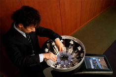 Japan Developed A Prototype Lickable TV Screen