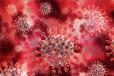 another new variant of corona found in france b16402